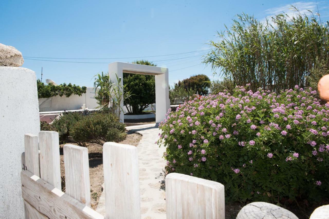 Aloni Studios Ano Mera Exterior photo